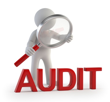 Perform A Website Audit Like Top Marketing Consultants